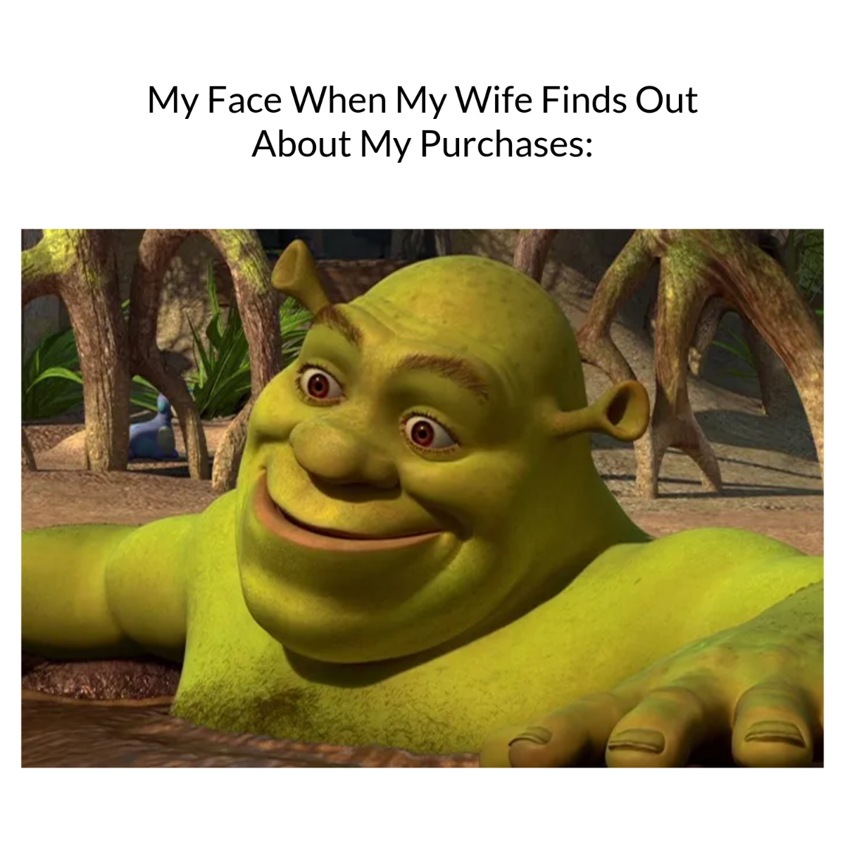 Free Shrek Meme Template
