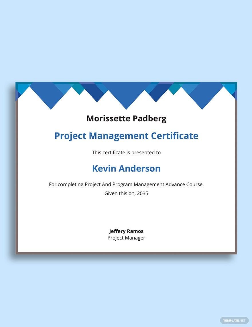Project And Program Management Certificate Template in Word, Google Docs, Apple Pages, Publisher
