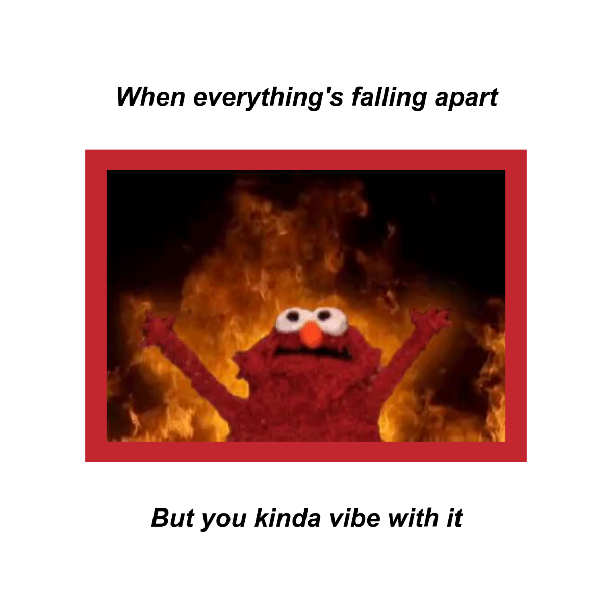 Free Elmo Meme Template