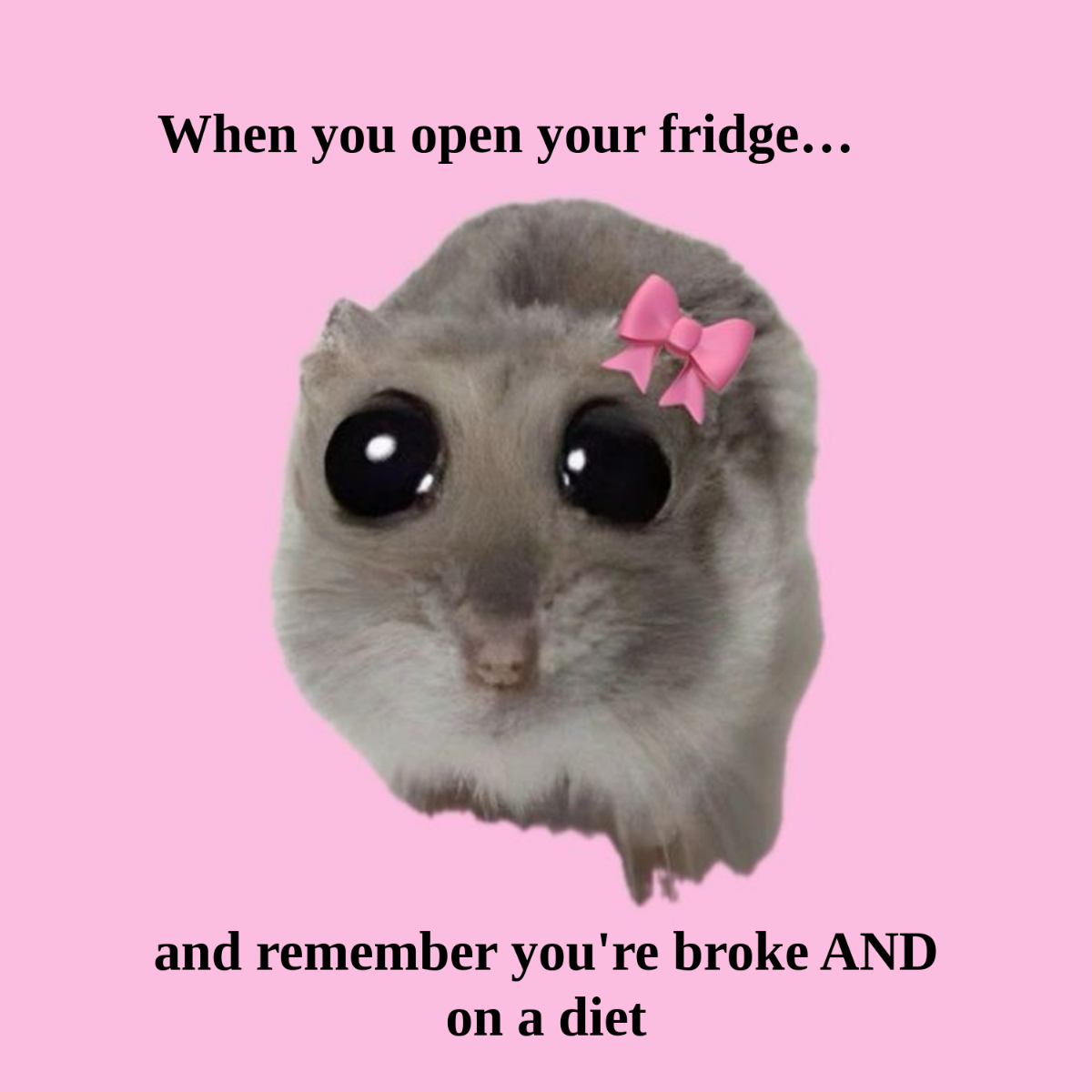 Free Sad Hamster Meme Template