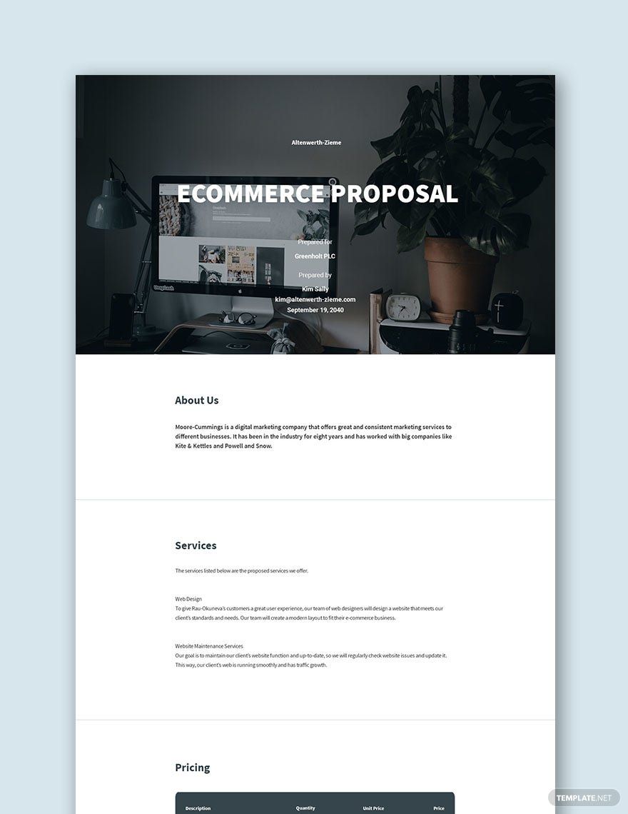Ecommerce Proposal Sample Template