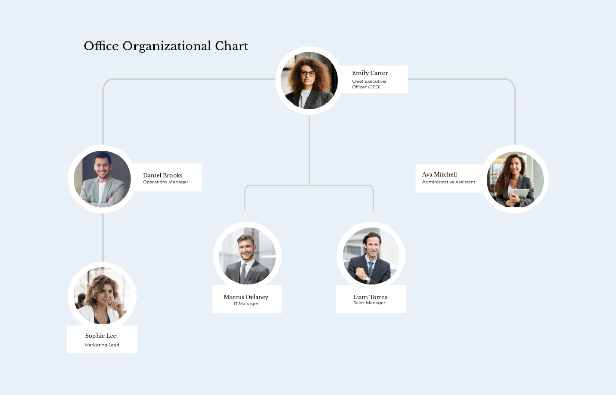 Free Office Organizational Chart Template