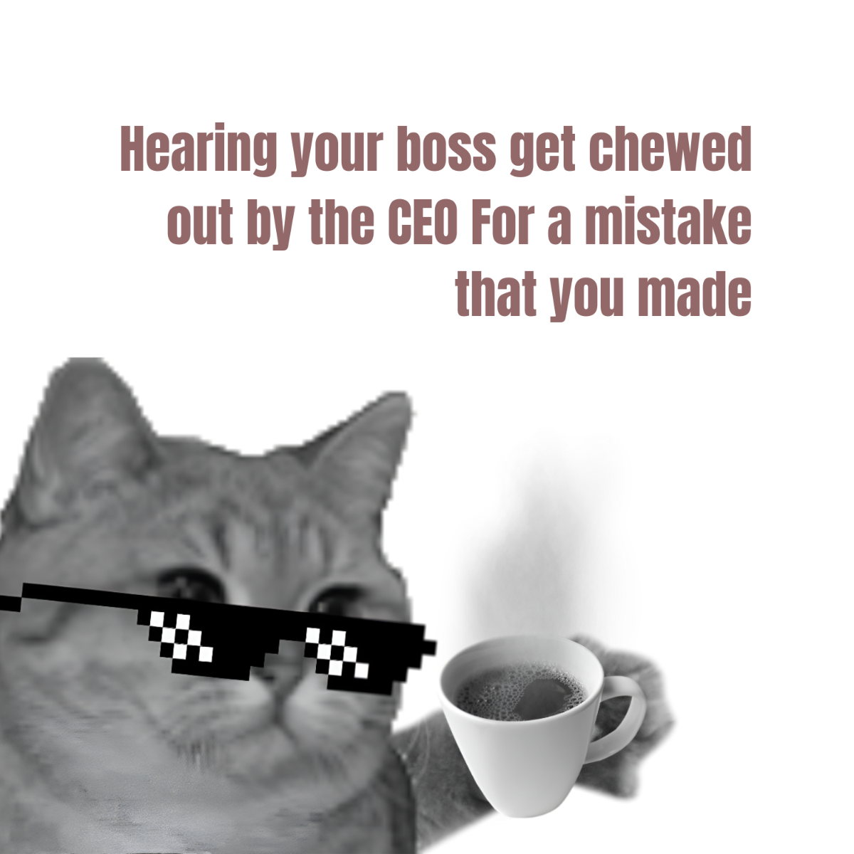 Free White Cat Meme Template to Edit Online