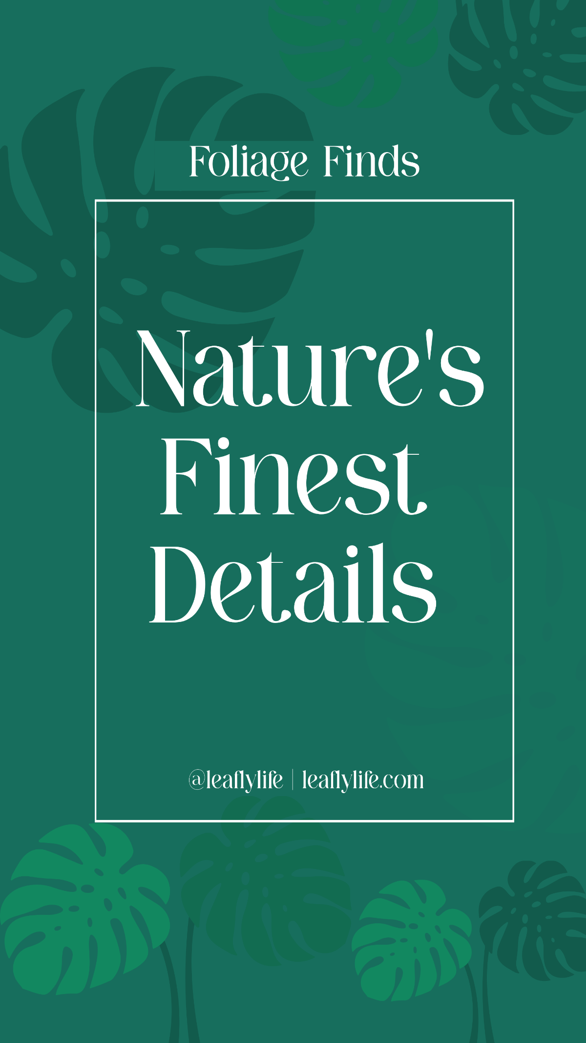 Free Foliage Instagram Story Highlight Template to Edit Online