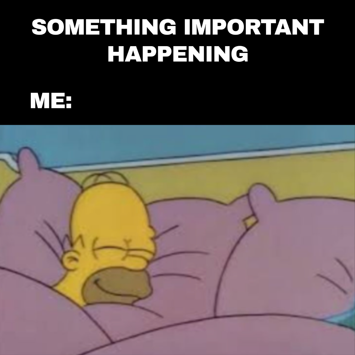 Free Sleeping Meme Template to Edit Online