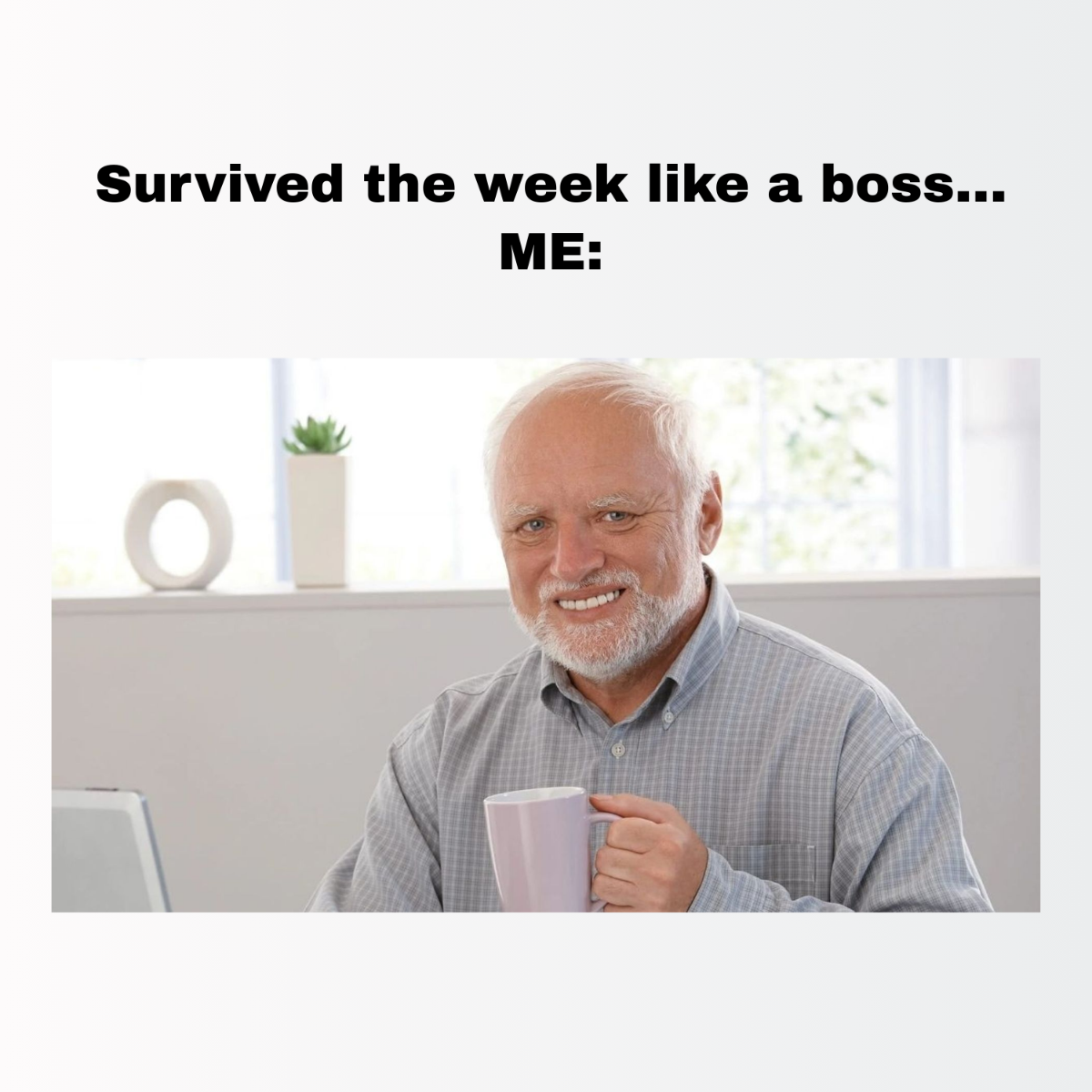 TGIF Meme Template TGIF Meme Template