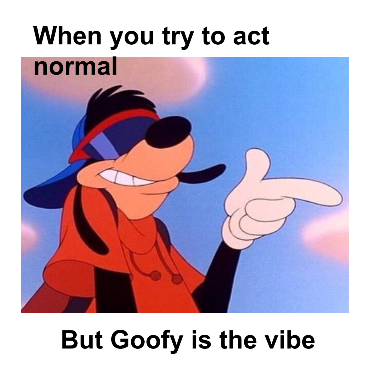 Goofy Meme