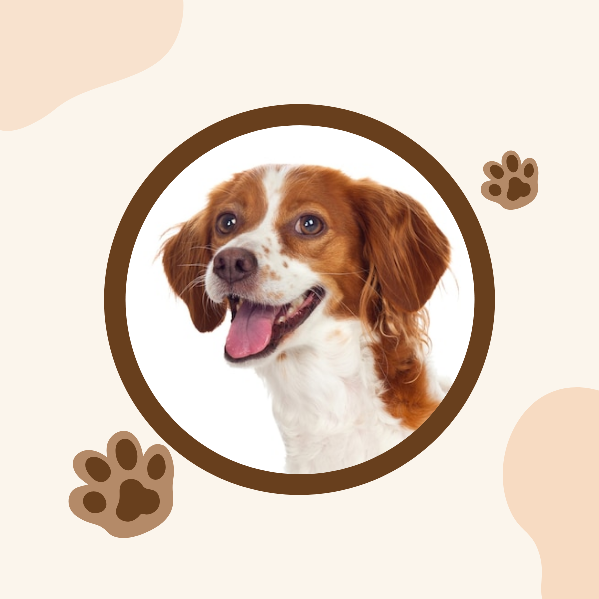 Free Pets Linkedin Profile Photo Template to Edit Online