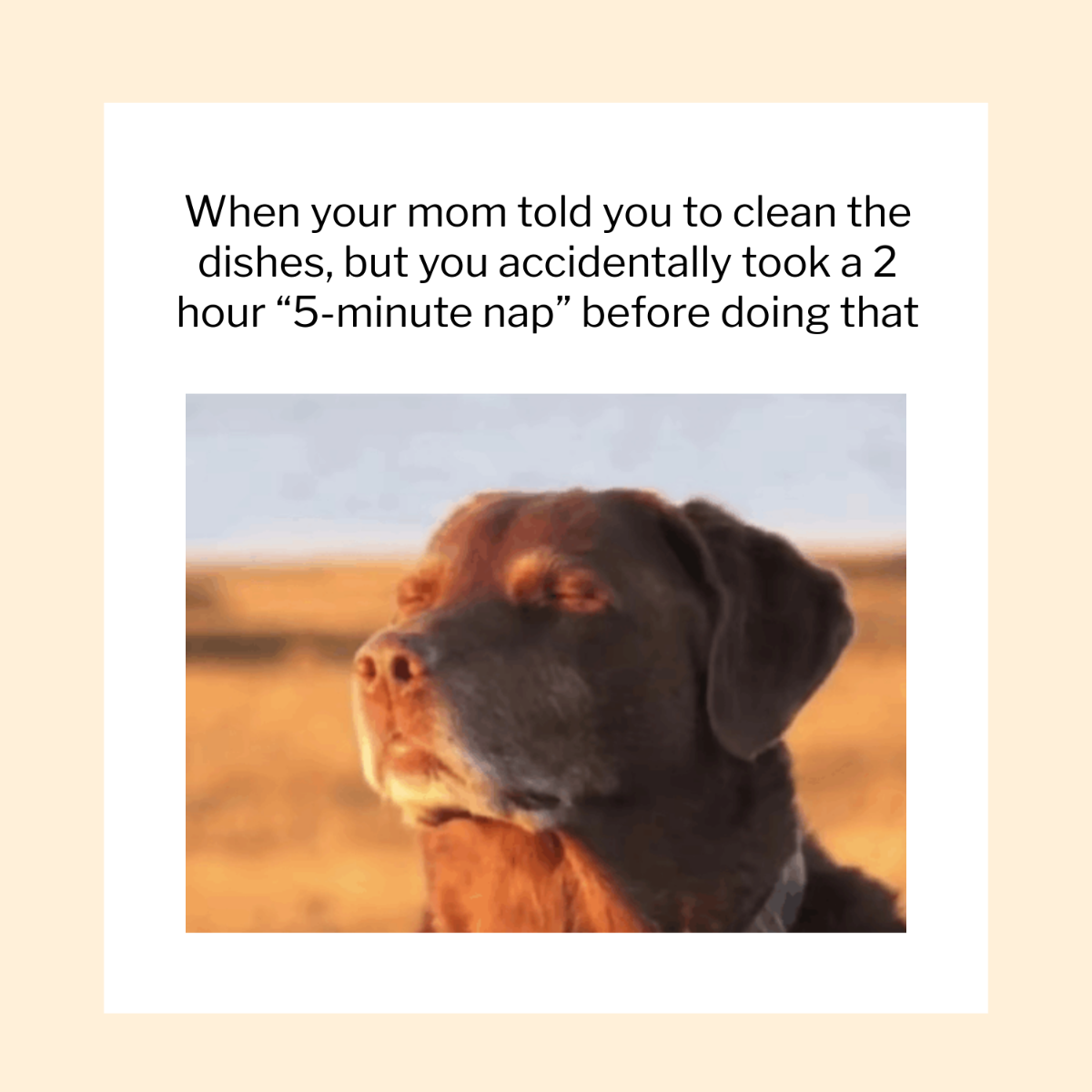 Cooked Dog Meme
