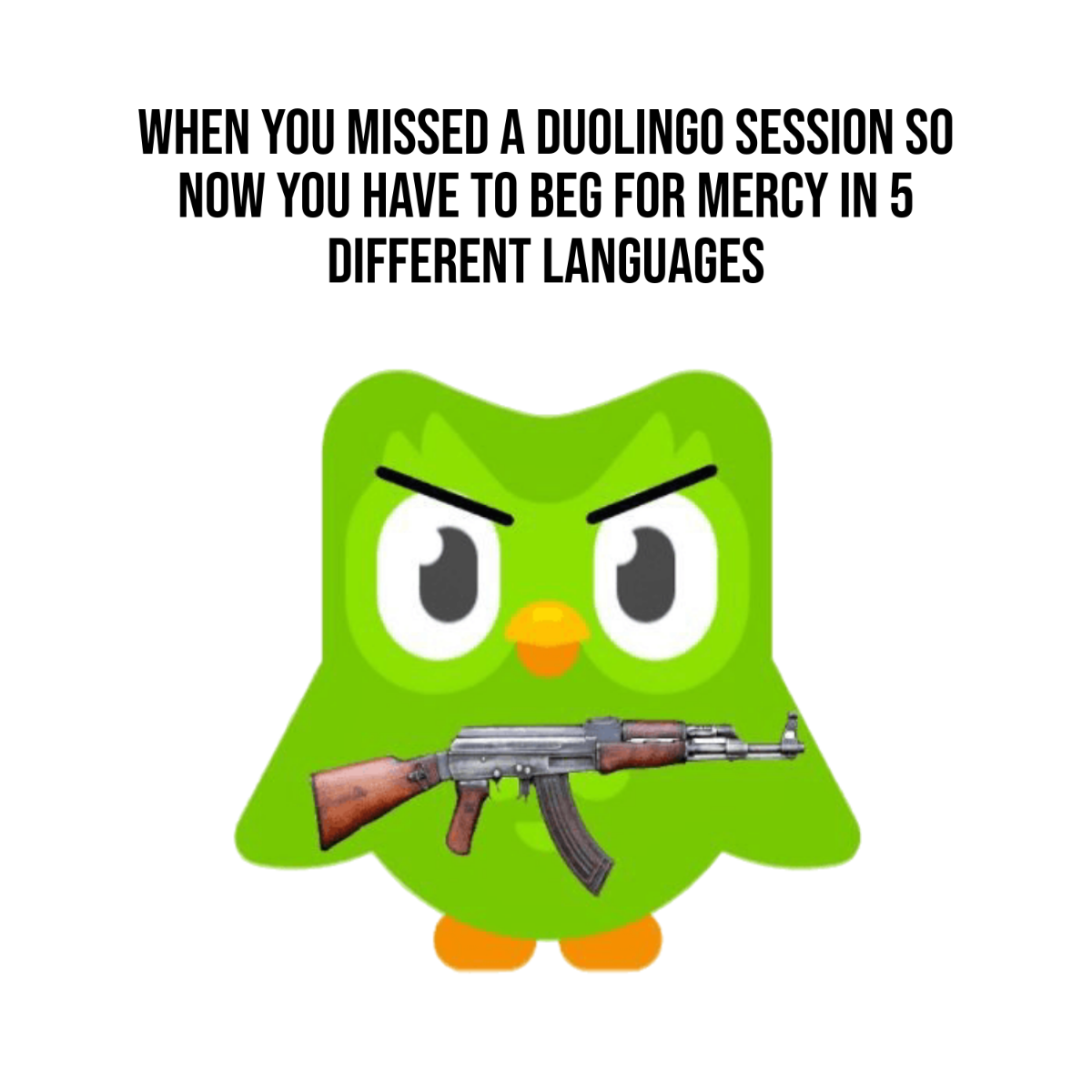 Free Duolingo Meme Template to Edit Online