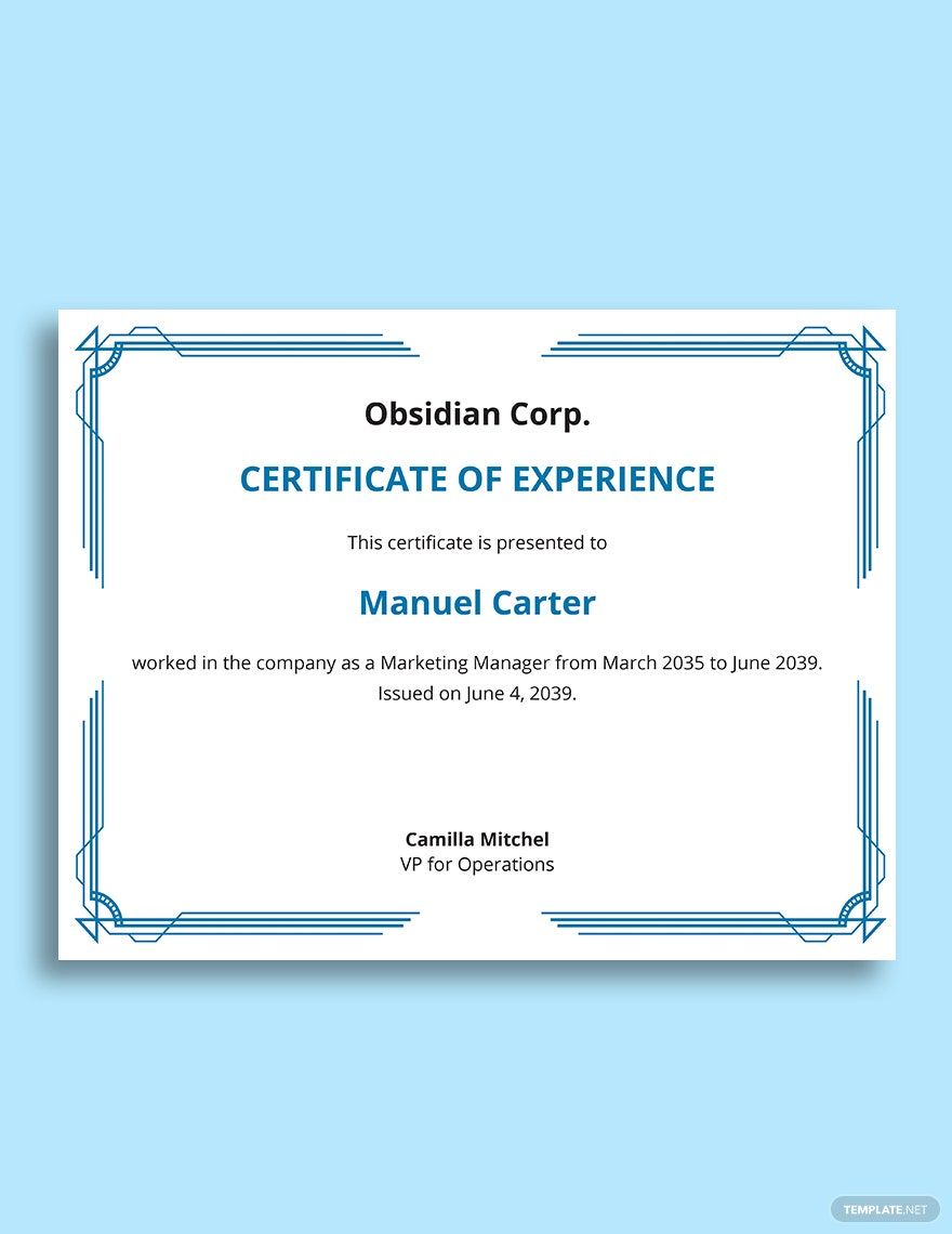 job-experience-certificate-letter