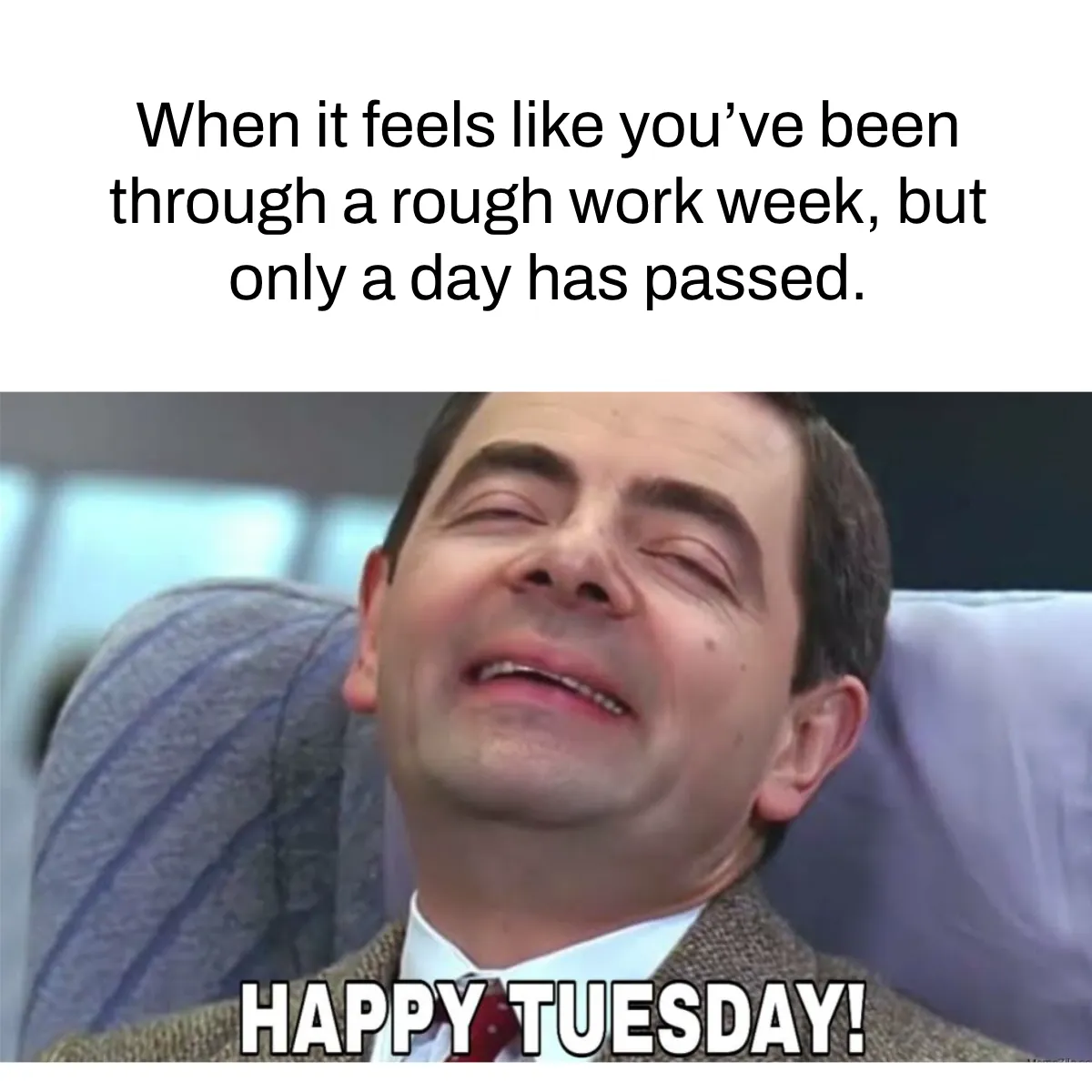 HAPPY TUESDAY WORK MEME UNWRAPPING THE POWER OF POSITIVITY IN THE 
