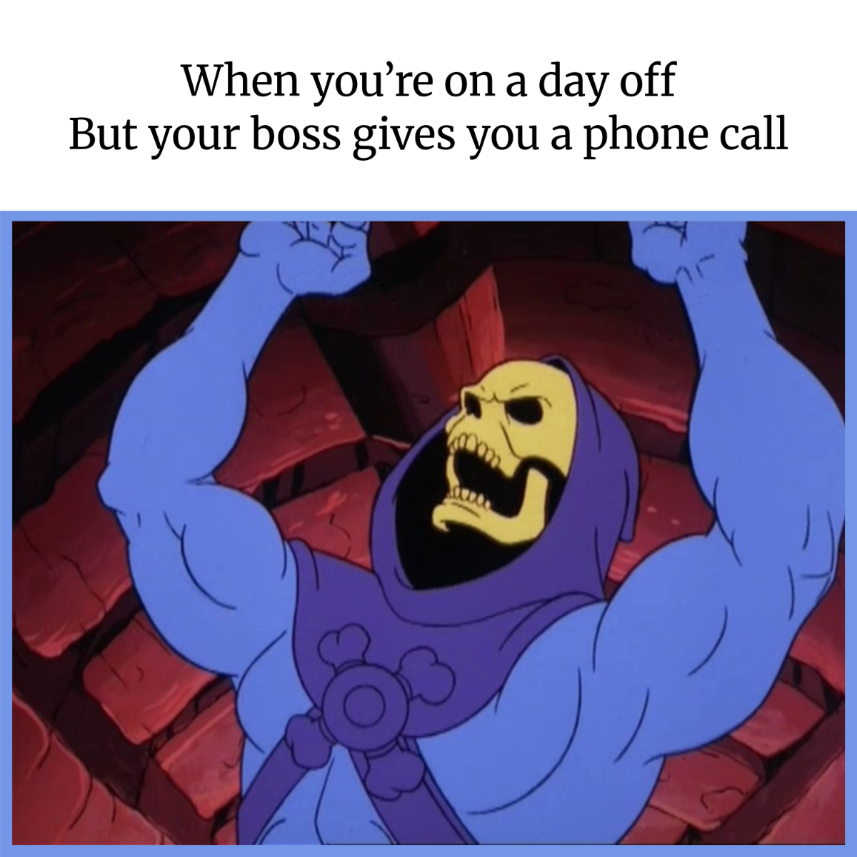 Skeletor Meme