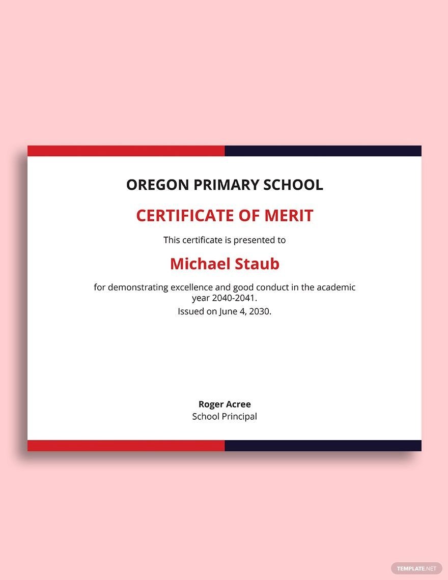 Recognition Of Merit Certificate Template