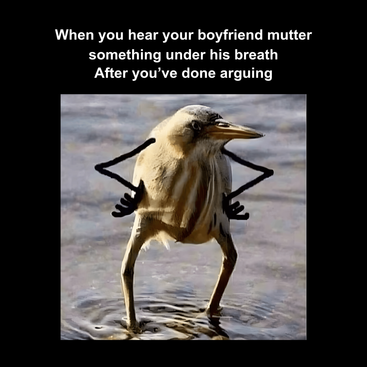 Free Bird Meme Template to Edit Online