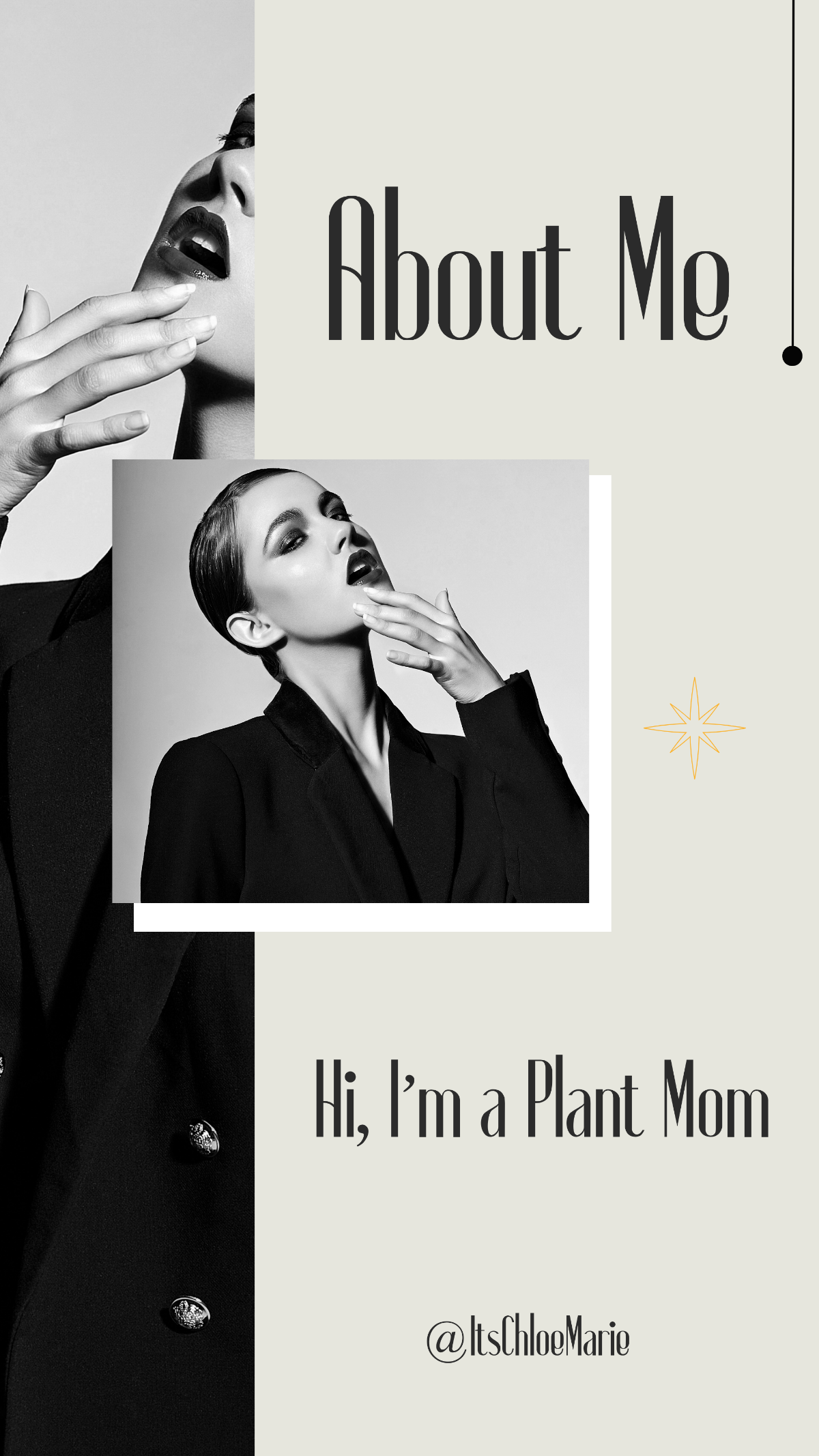 Free About Me Instagram Story Template