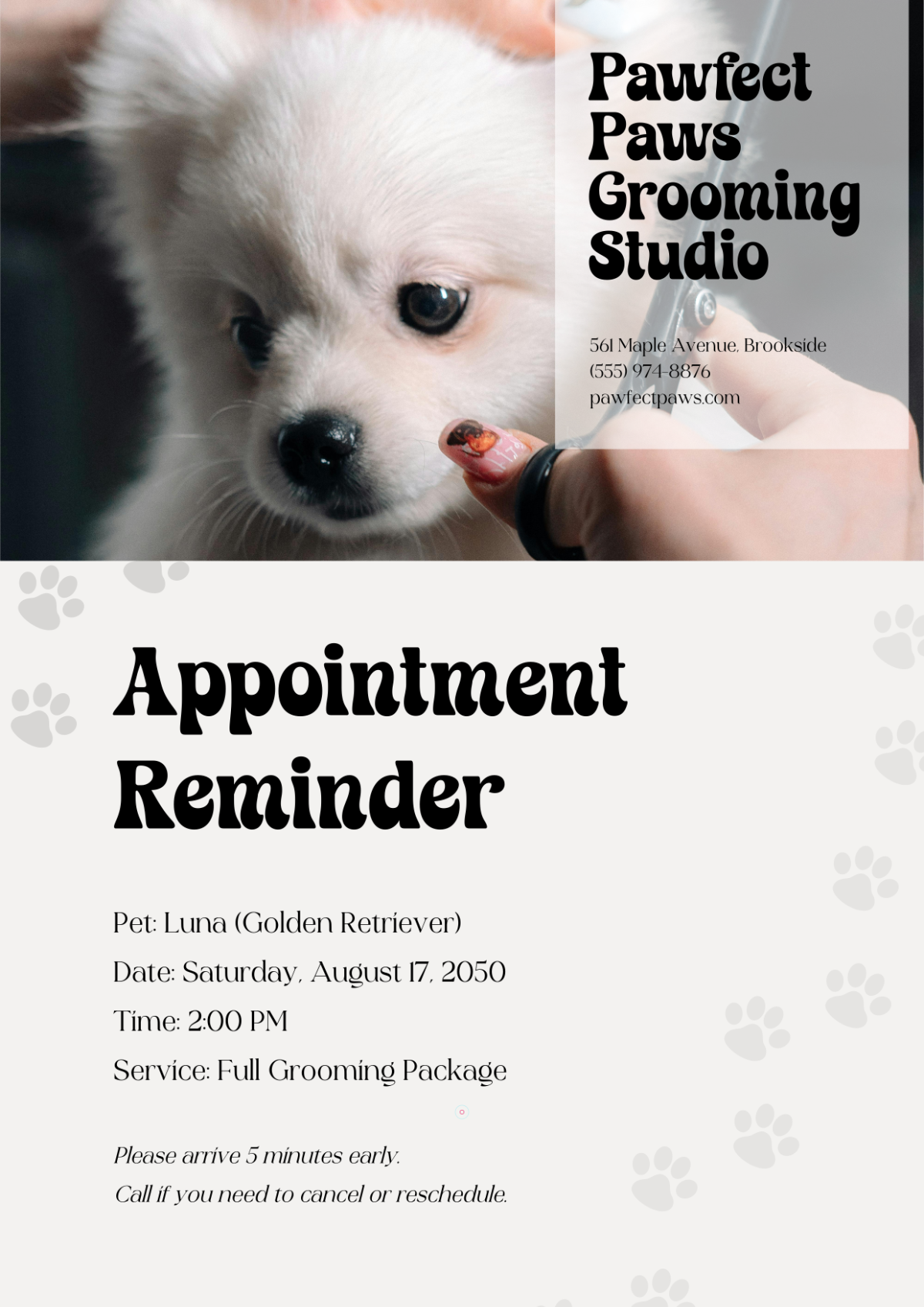 Free Creative Appointment Reminder Template