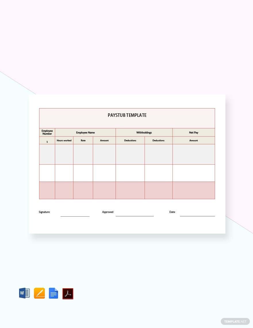 Pay Check Pay Stub Template