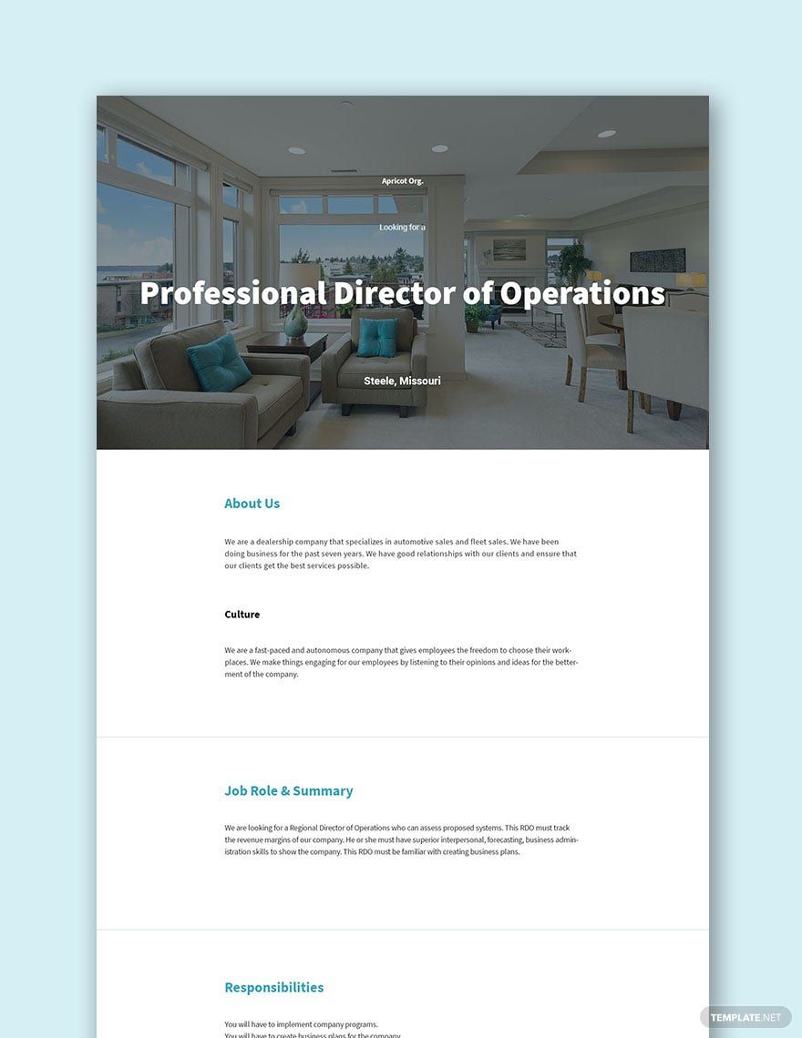 Director of Sales Operations Job Description