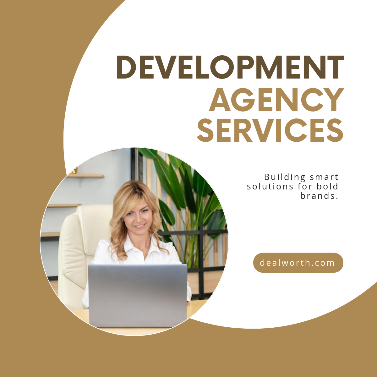 Free Development Agency Linkedin Post Template