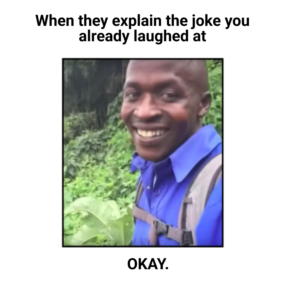 Ok Meme Template to Download