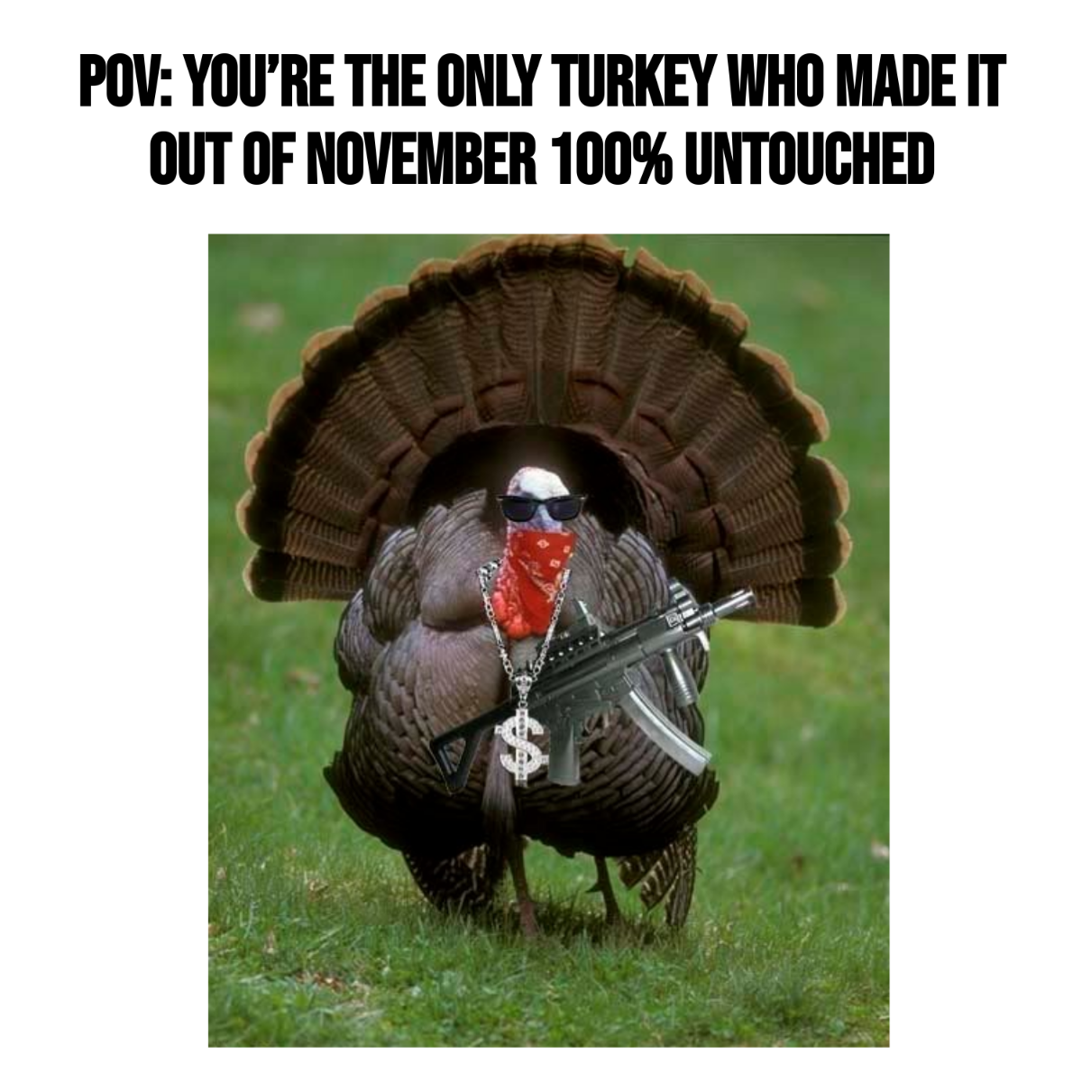 Turkey Meme Template to Download