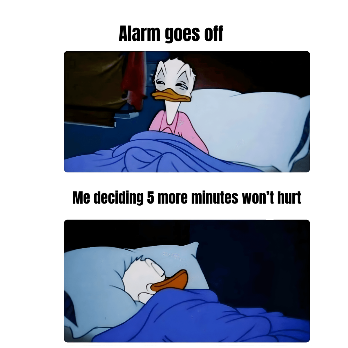 Free Duck Meme Template to Edit Online