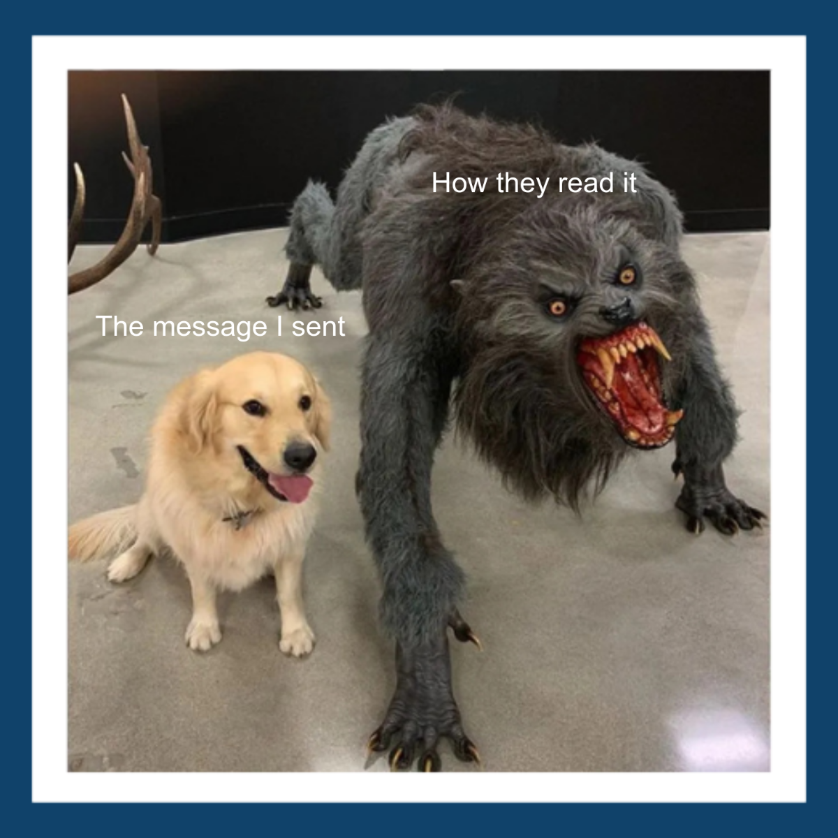 Free Werewolf Meme Template
