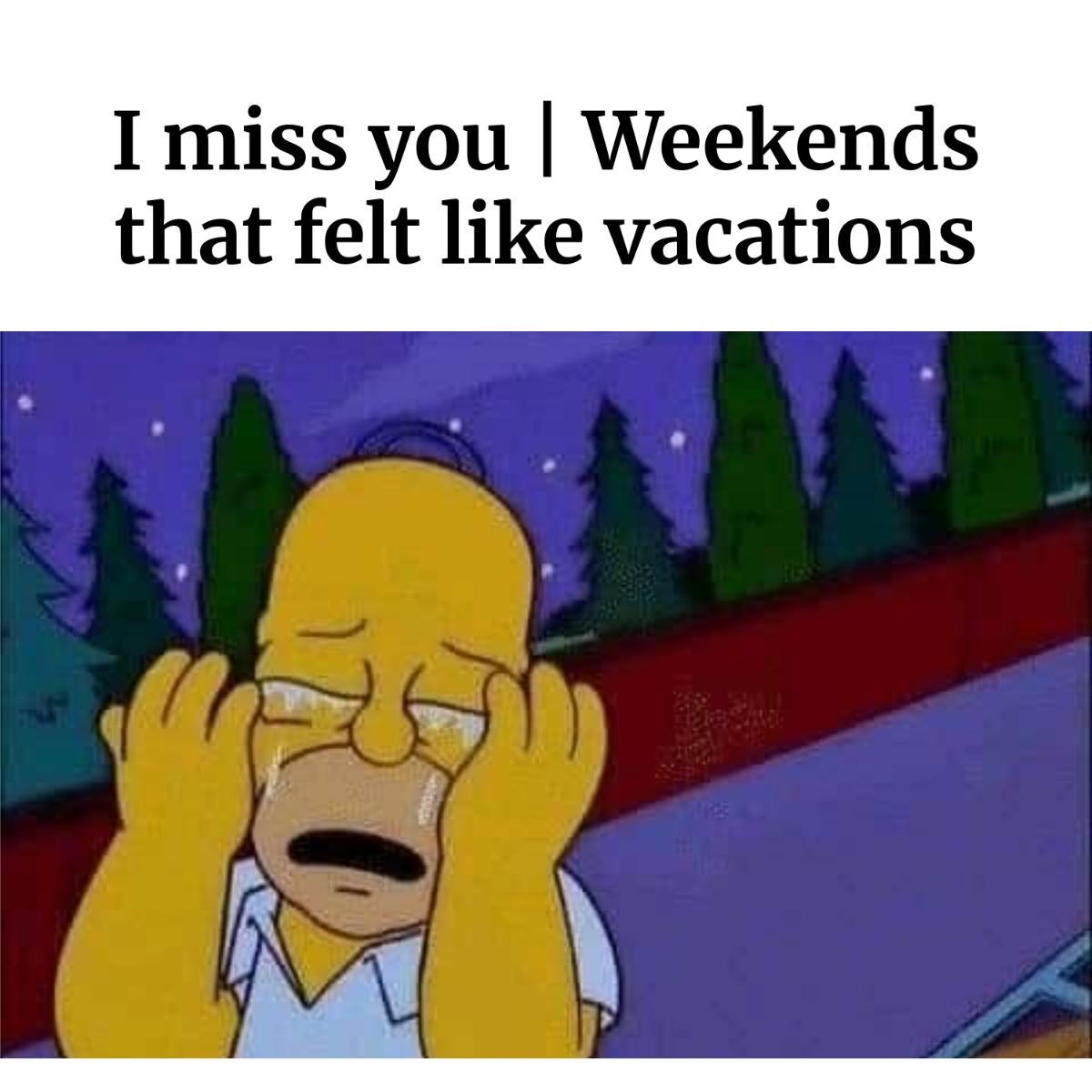 I Miss You Meme
