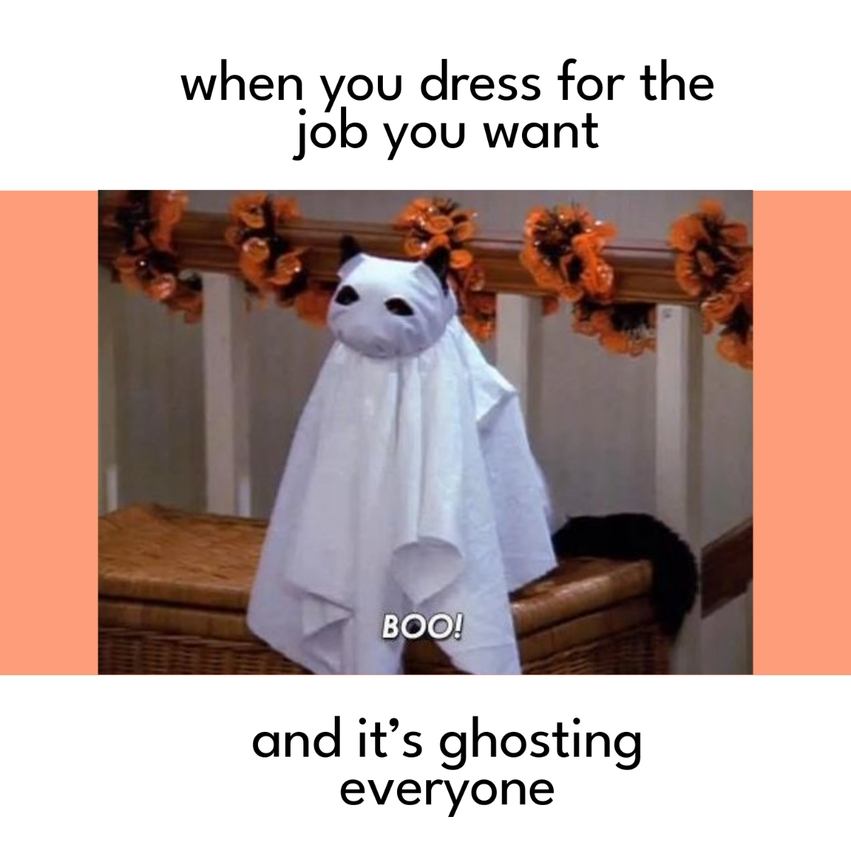 Free Halloween Meme Template to Edit Online