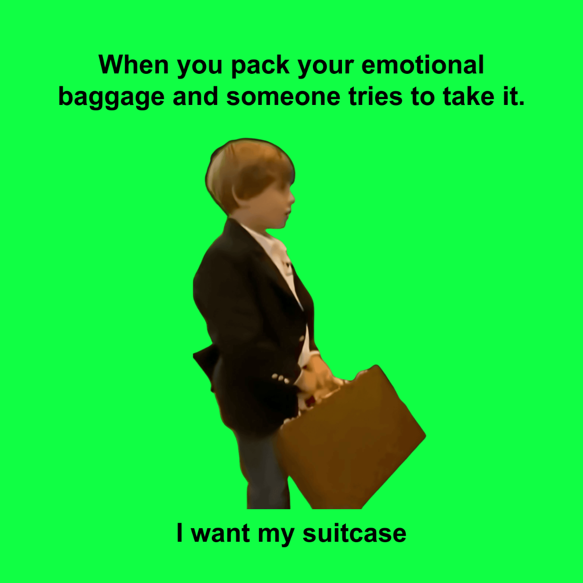 Free I Like My Suitcase Meme Template