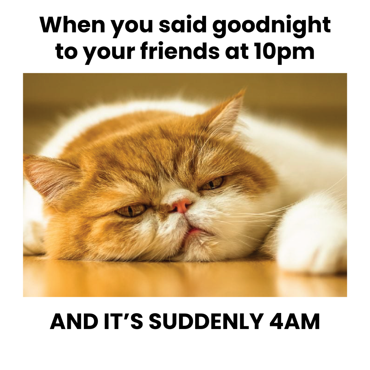 Free No Sleep Meme Template