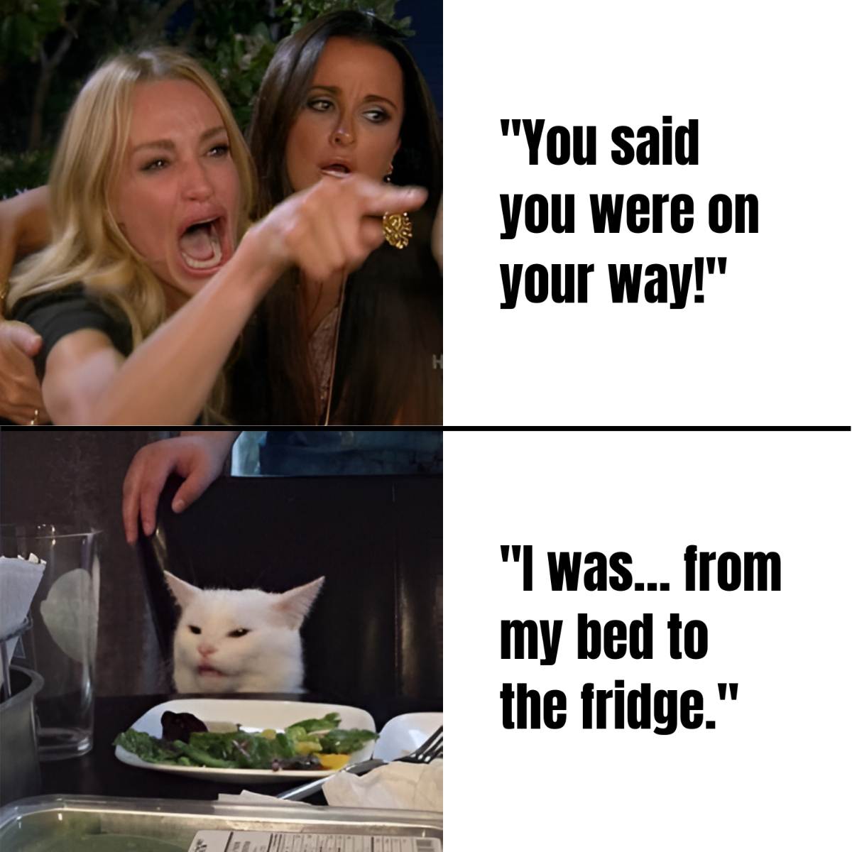 Free Woman Yelling at a Cat Meme Template