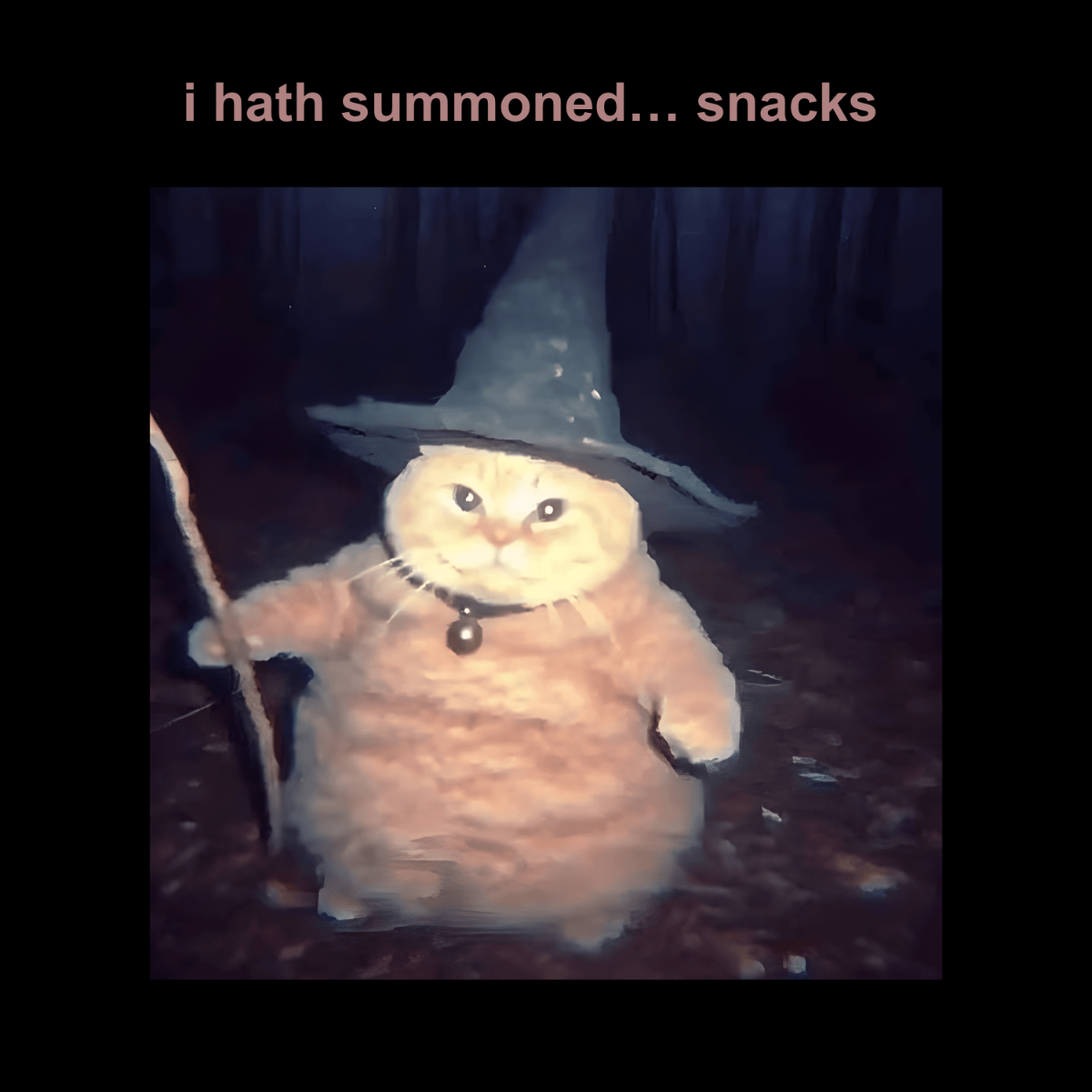 Free Chunky Wizard Cat Meme Template