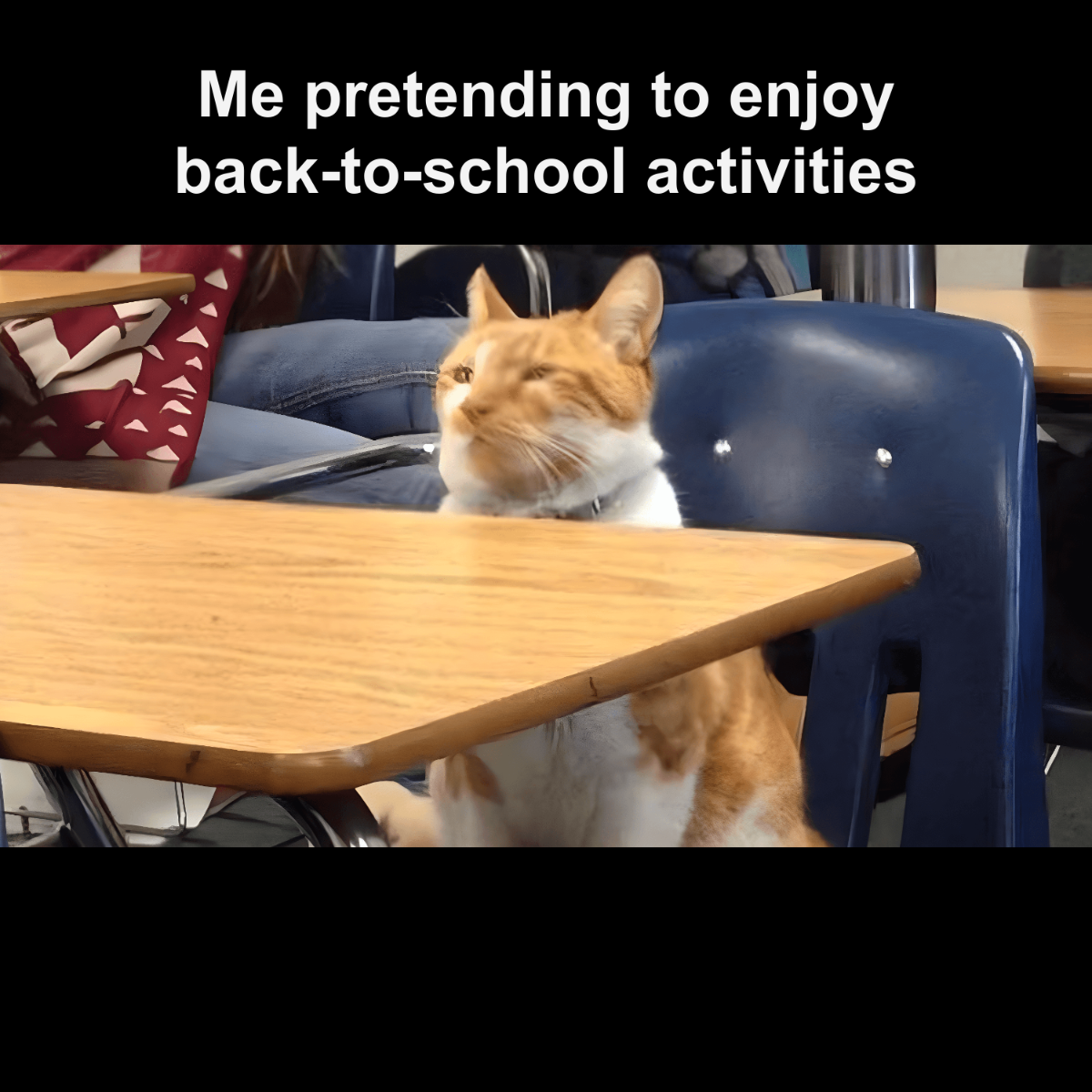 Free Simple Back To School Activities Meme Template