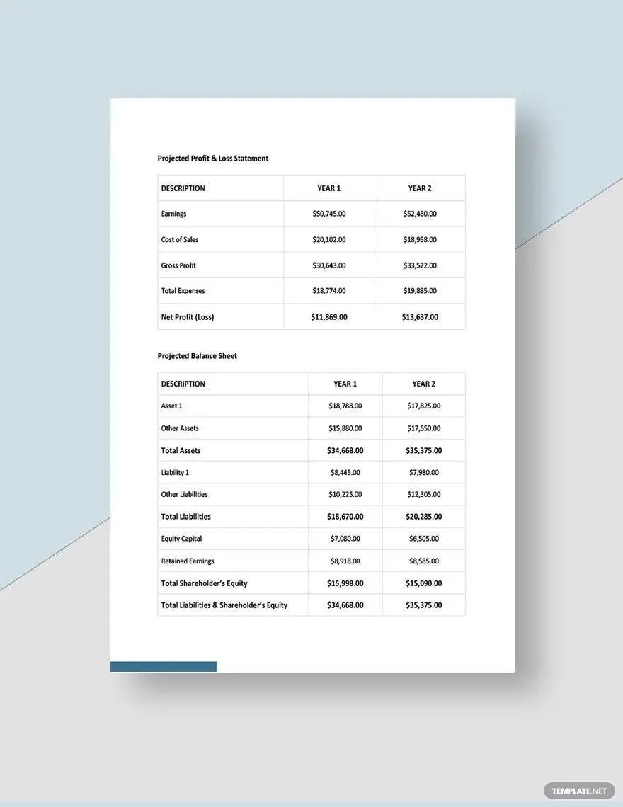 Cleaning Service Financial Statement Template