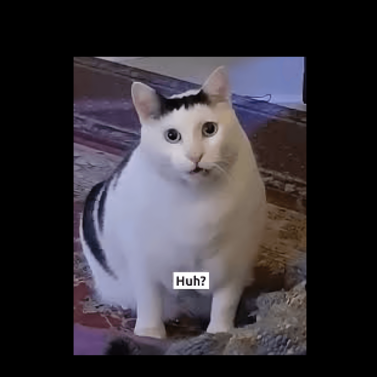 Free Big Huh Cat Back To School Meme Template