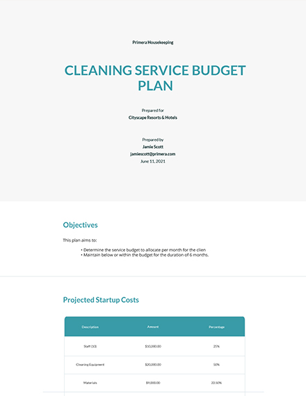 Financial Budget Plan Template Google Docs Word Apple Pages PDF
