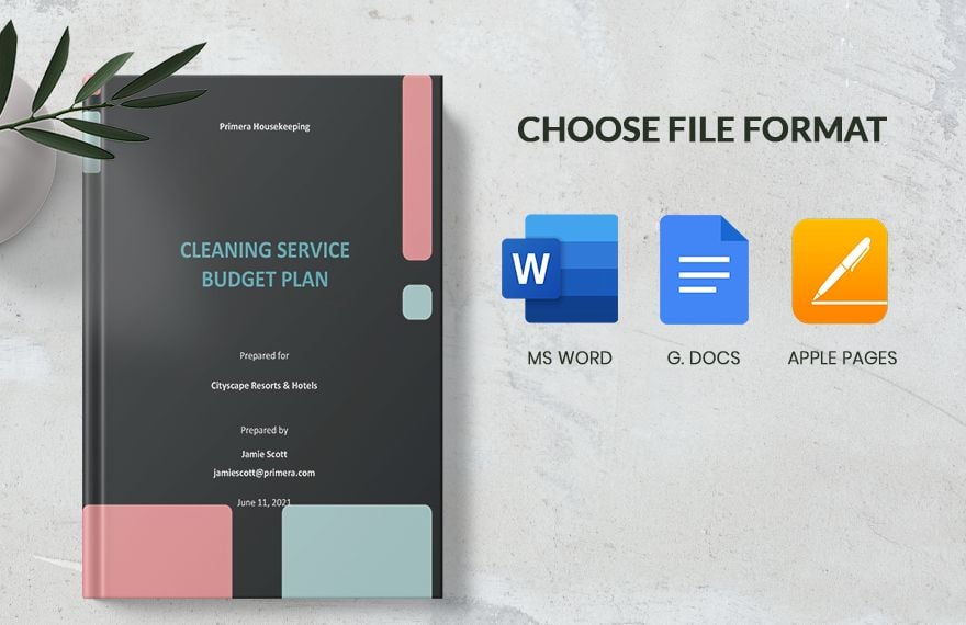 Cleaning Service Budget Plan Template