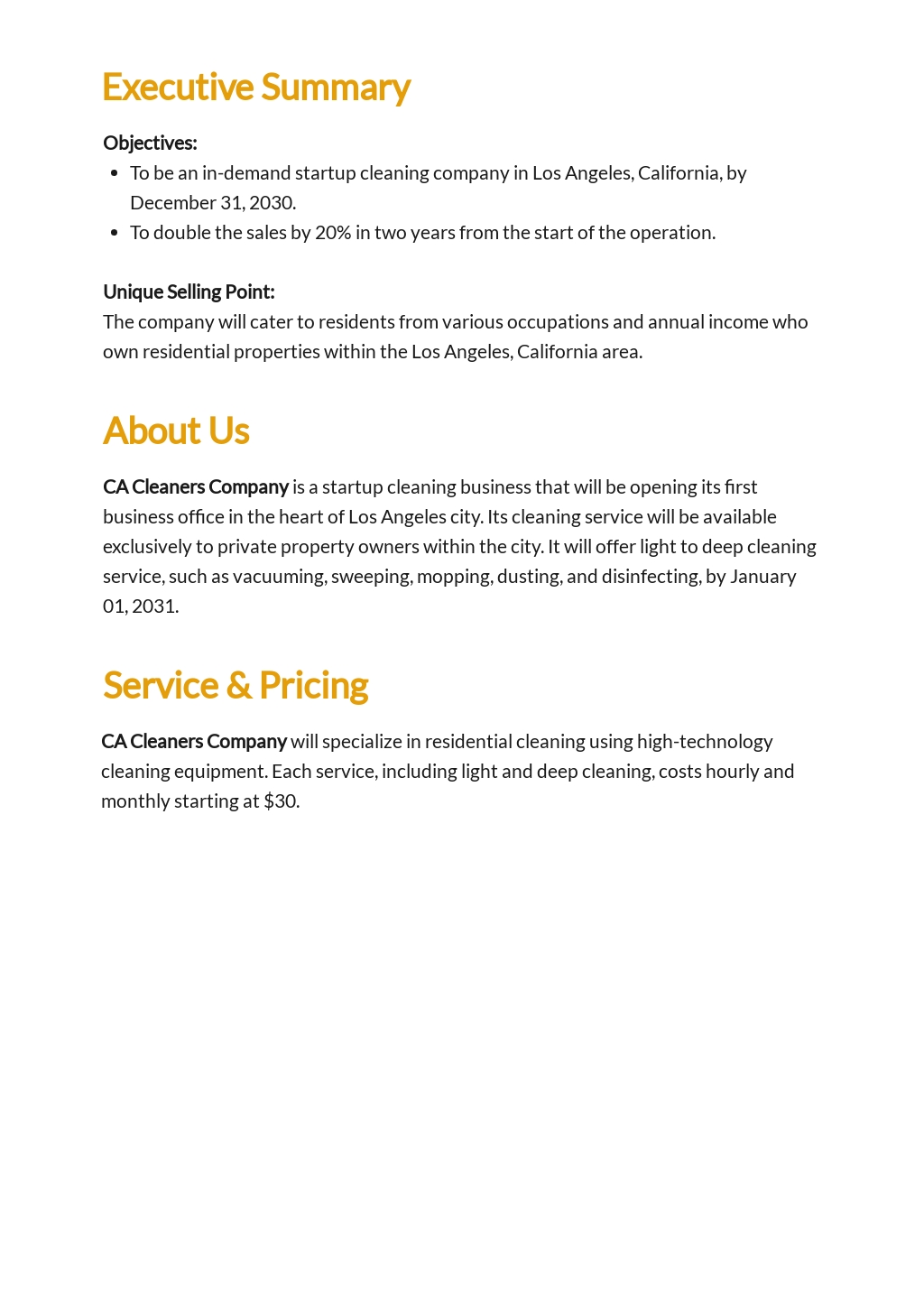 Cleaning Company Business Plan Template