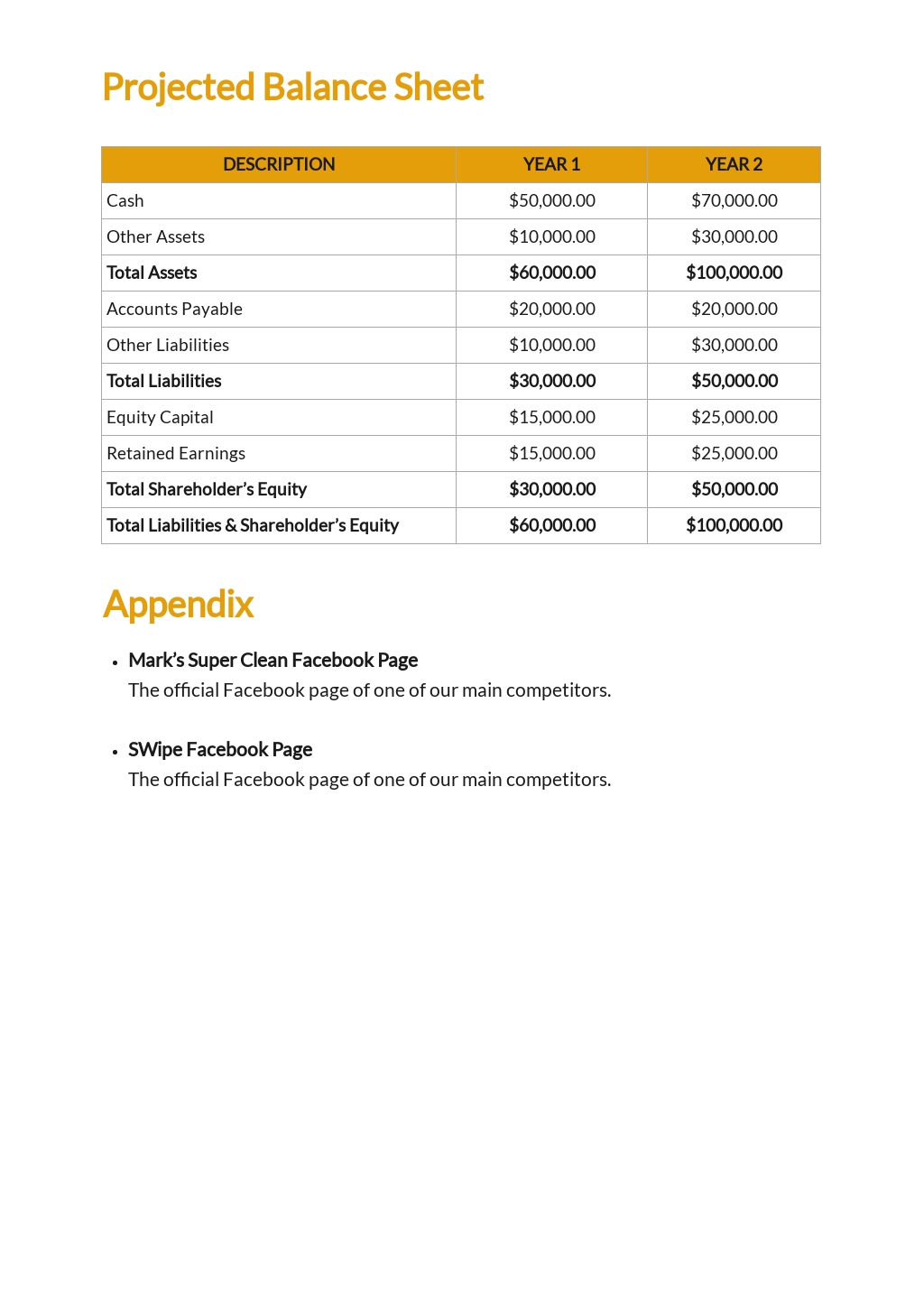 Cleaning Business Plan Template