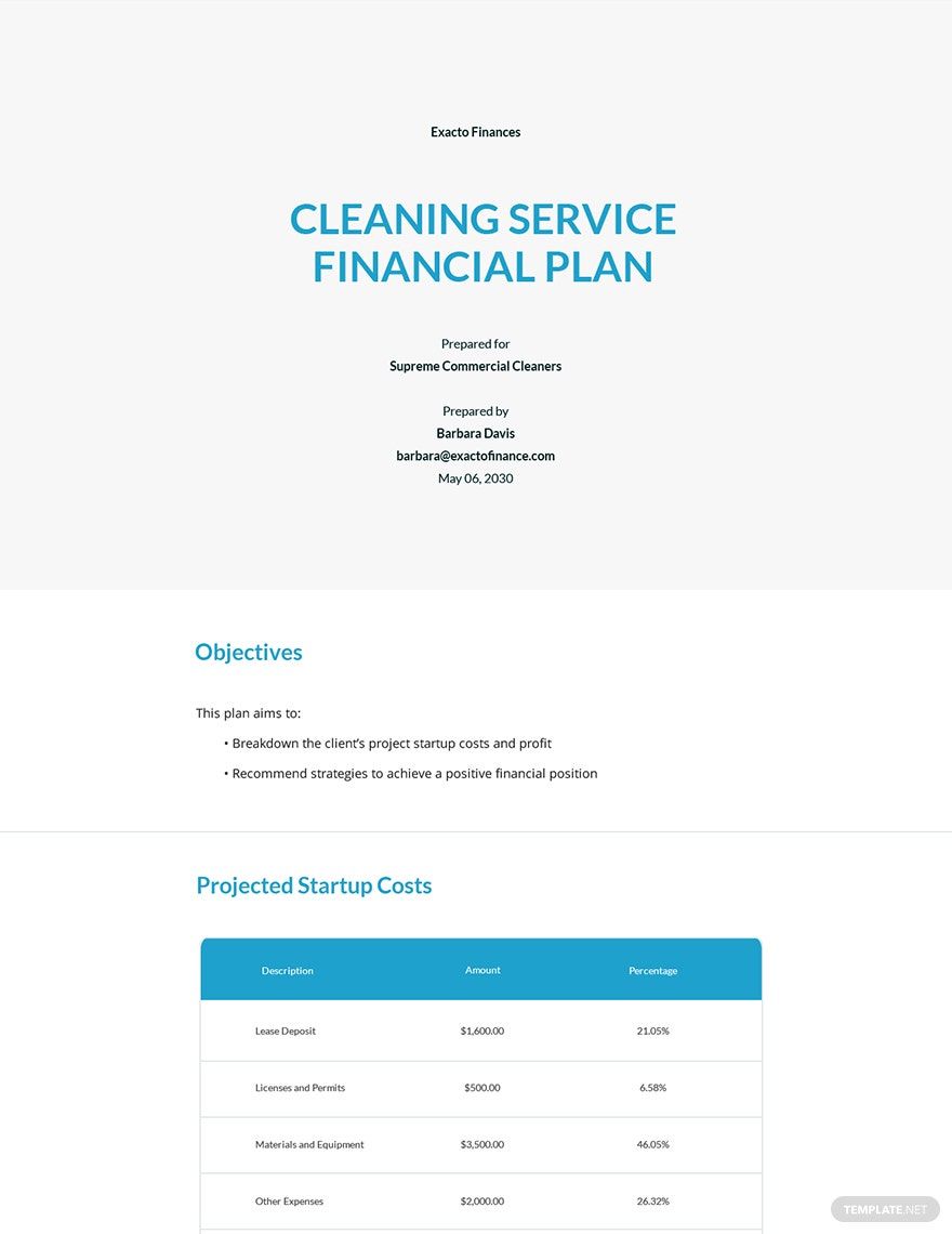 copy of a cleaning business plan