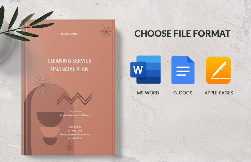 Cleaning Service Financial Plan Template