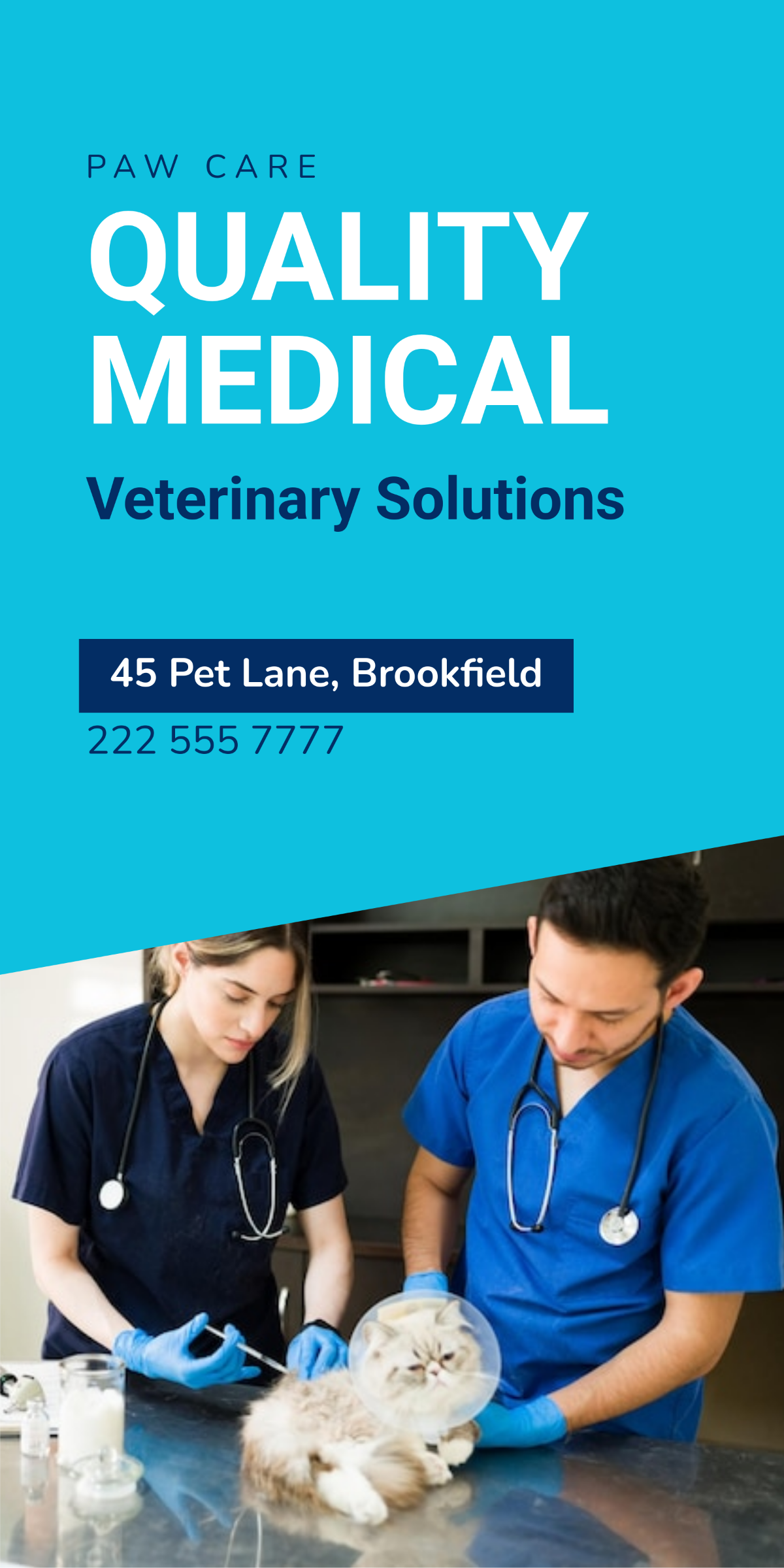 Free Medical Veterinary Roll Up Banner Template