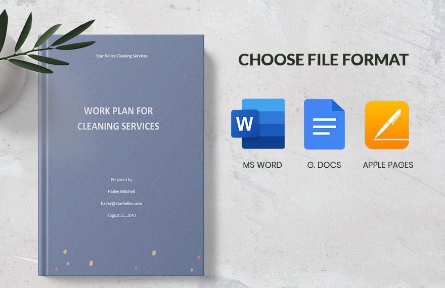 Work Plan for Cleaning Services Template