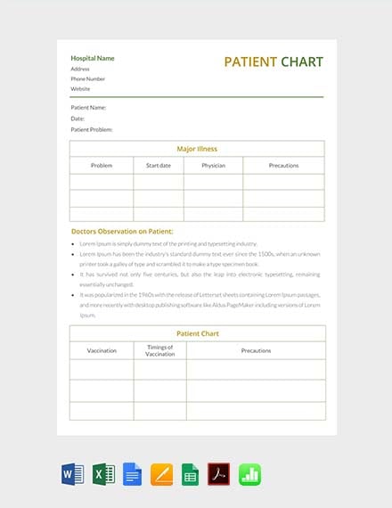 Patient Chart Template