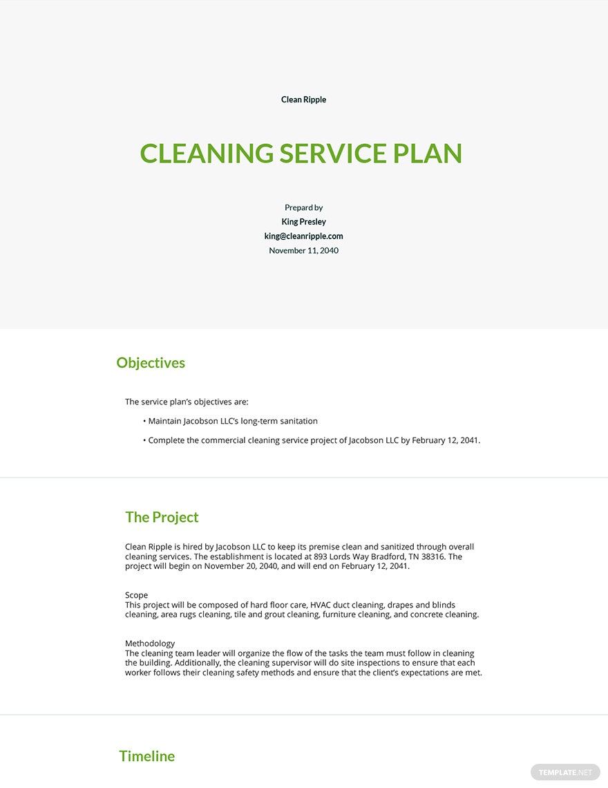 Cleaning Service Business Plan Template Google Docs Word Apple 