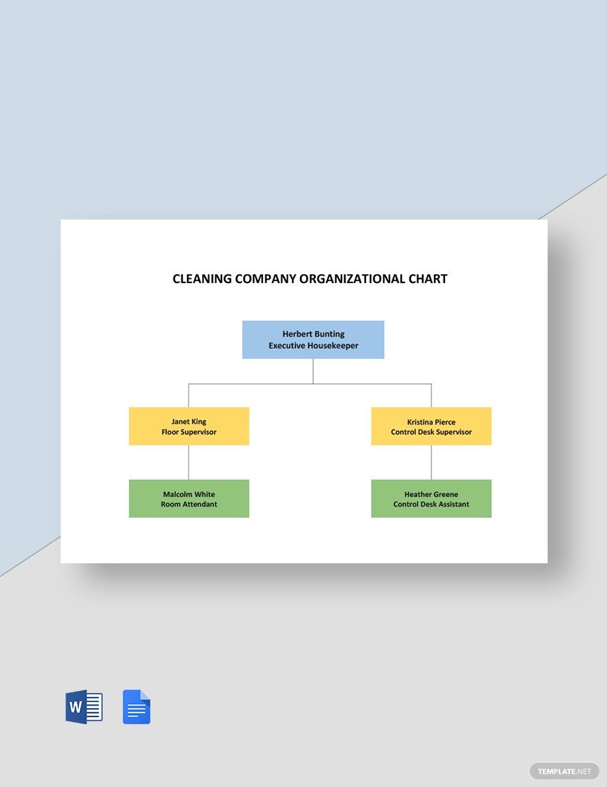 Cleaning Company Organizational chart Template