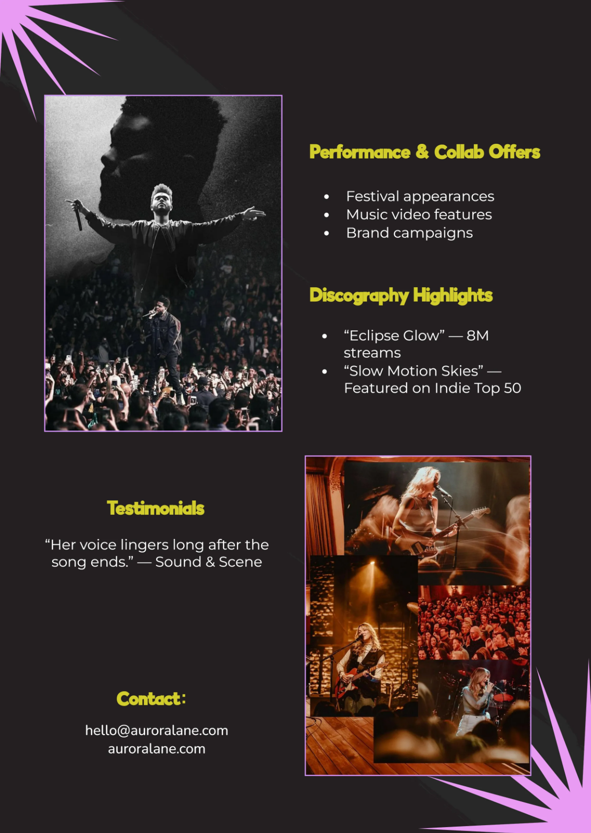 Free Music Press Kit Template to Edit Online