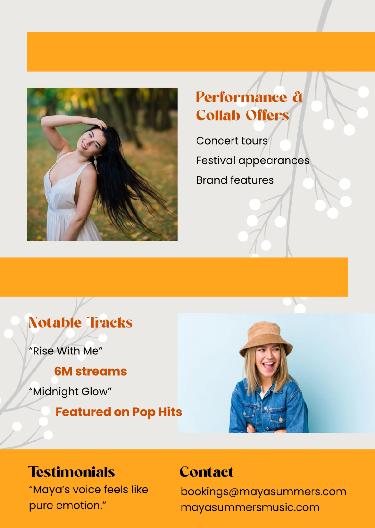 Free Singer Press Kit (EPK) Template to Edit Online